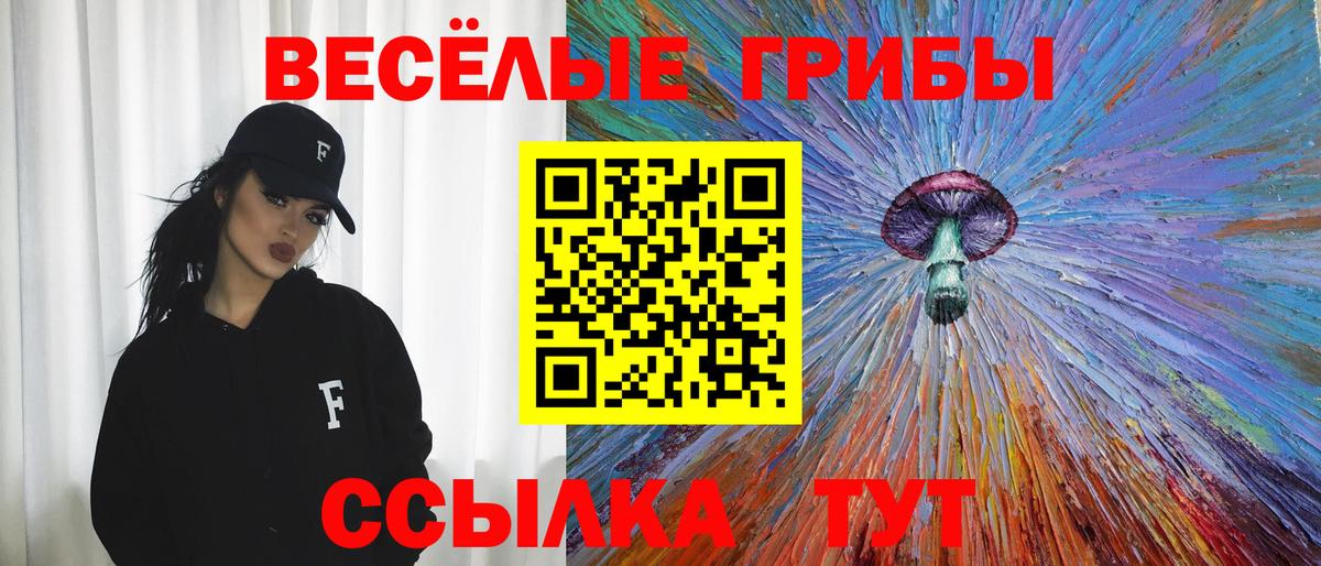 Галлюциногенные грибы Magic Shrooms  Псилоцибиновые грибы прущие грибы  Вход с VPN  Первоуральск 