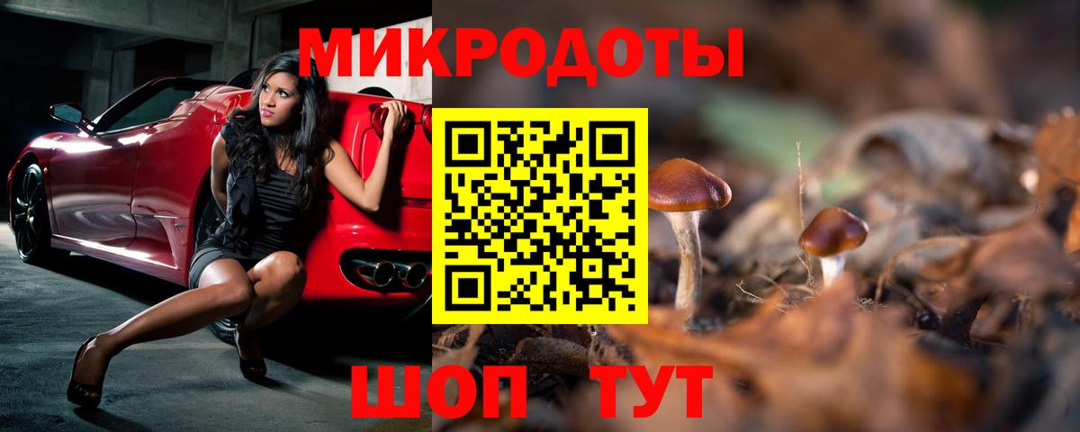 Псилоцибиновые грибы Psilocybine cubensis Первоуральск